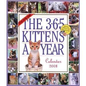  365 Kittens a Year 2008 Wall Calendar