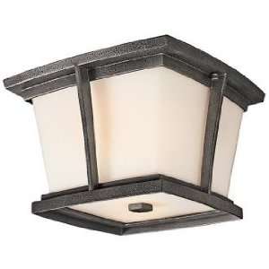  Brockton Collection 11 Wide Outdoor Ceiling Light: Home Improvement