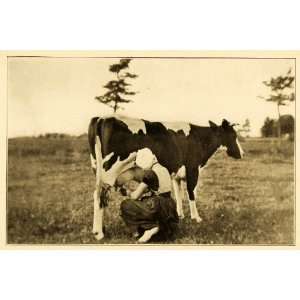  1911 Print Zeeland Holland Milkmaid Cow Agricultural 