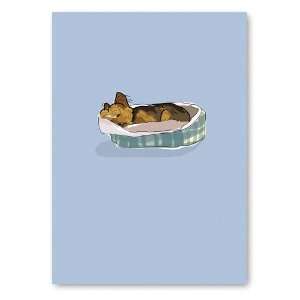    Yorkie in bed   Sympathy Greeting Cards   6 cards