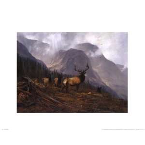  Bookcliffs Elk by Michael Coleman 20x16