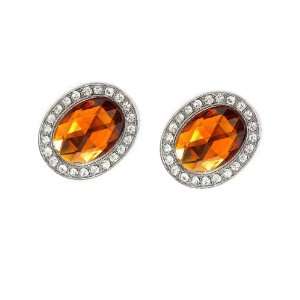    Magnetic Topaz Brown Rhinestone Shoe Clips: Everything Else