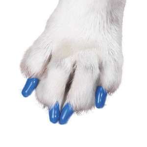   Claws Dog and Cat Nail Caps Take Home Kit, Small, Blue: Pet Supplies