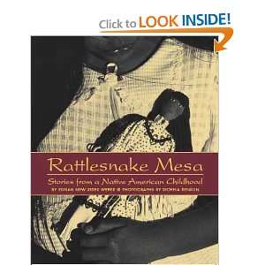  Rattlesnake Mesa Stories from a Native American Childhood 