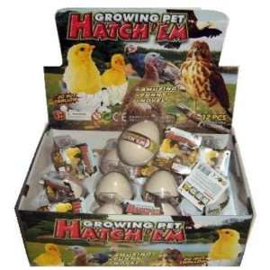  Hatch Em Eggs Growing Pet Case Pack 36 Toys & Games