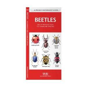  Reference Guide   Beetles   Natural History & Habitat, 120 