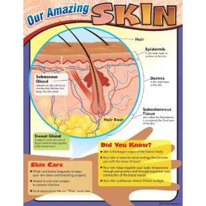   Enterprises T 38295 Learning Chart Our Amazing Skin Toys & Games