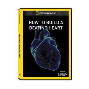  National Geographic How to Build a Beating Heart DVD R 