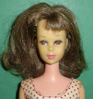 Vintage Barbie Lot Francie Swingin Skimmy Swirl Ricky+  
