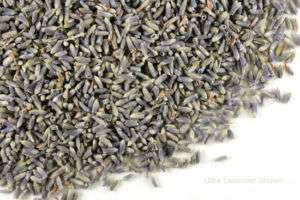 Ultra French Organic Lavender Buds Flowers 1 pound 1LB  