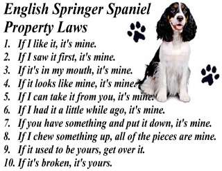   SPANIEL DOG PROPERTY LAWS OF THE DOG T SHIRT = S M L XL 2XL 3XL  