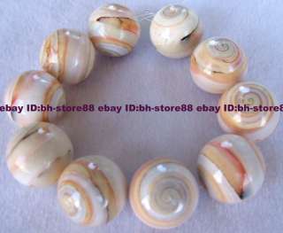 Beautiful 20mm Natural Sun Shell Round Beads 10Pcs  