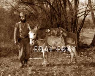 1900S WESTERN GOLD PROSPECTOR AND HIS DONKEY MINE MINER MINING PHOTO 