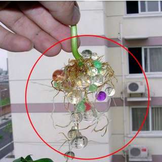 11 Bags Water Mud Soil Magic Crystal Jelly Flower Plant Garden Beads 