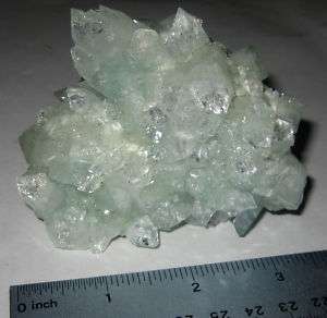 RARE MUSEUM GREEN APOPHYLLITE NATURAL CRYSTAL MINERAL  