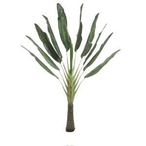   Artificial Silk Traveller Palm Tree Plant with 10 Leaves / 11 Branches