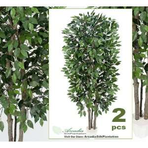   Ficus Real Wood Trunks Artificial Trees Silk Plants: Home & Kitchen