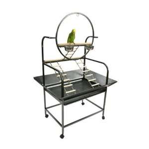  A&E Cage Co. J6 The O Parrot Play Stand Color: Green 
