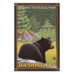 Black Bear in Forest, Olympic National Park, Washington Stretched 