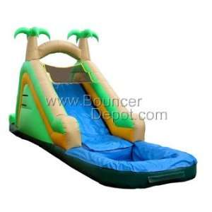  15 FT Inflatable Backyard Water Slide: Toys & Games