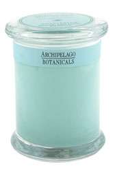 Archipelago Botanicals Excursion Glass Jar Candle $17.50