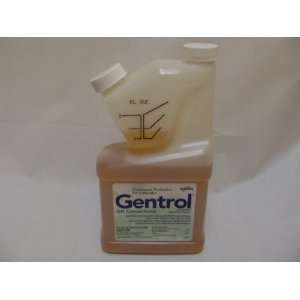   Liquid Concentrate Insecticide pt   16oz bottle Patio, Lawn & Garden