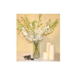   › Fresh Flowers & Indoor Plants › Fresh Cut Flowers › Orchids