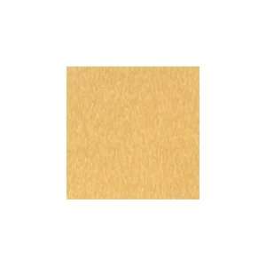  Armstrong Flooring 51878 Commercial Vinyl Composition Tile 
