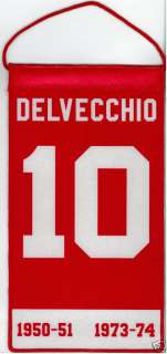 Alex Delvecchio Det. Red Wings Mini Retirement Banner  