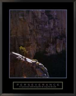 Grand Canyon Lone Pine Tree Framed Motivational Poster  