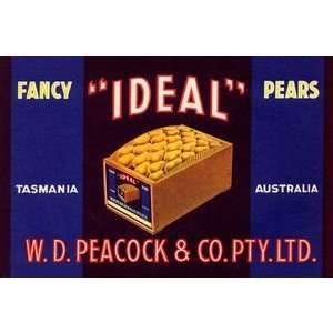 Ideal Fancy Pears   12x18 Framed Print in Black Frame (17x23 finished)